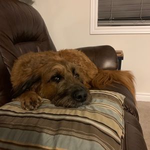 Meet your Posher, Sandra